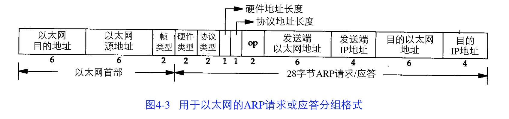 arp协议,截取自是TCP/IP协议详解